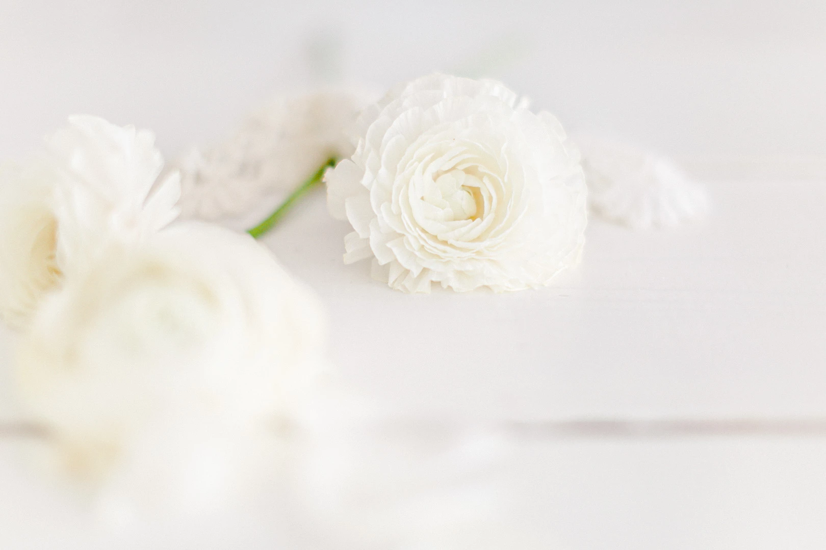 Inspiration Printemps